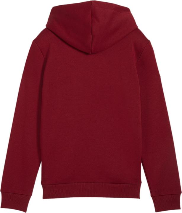 Produktbild Puma ESS+ 2 Col Big Logo Hoodie FL B (140)