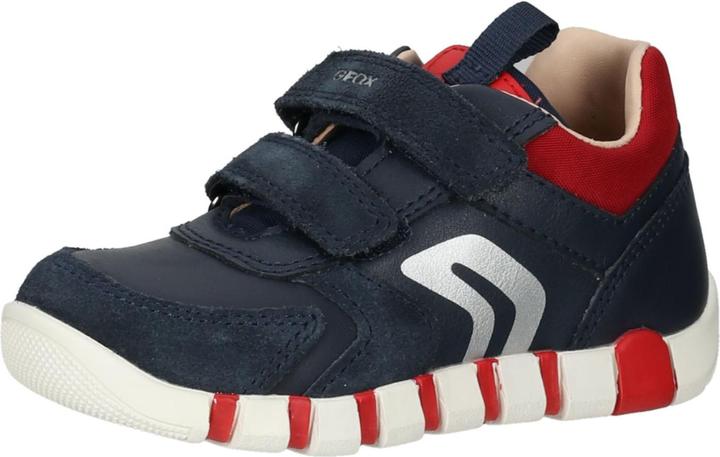 Geox Sneaker (21)