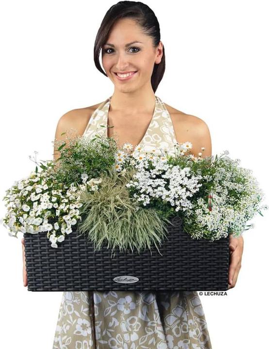 Produktbild Lechuza Balconera Cottage (19 cm)