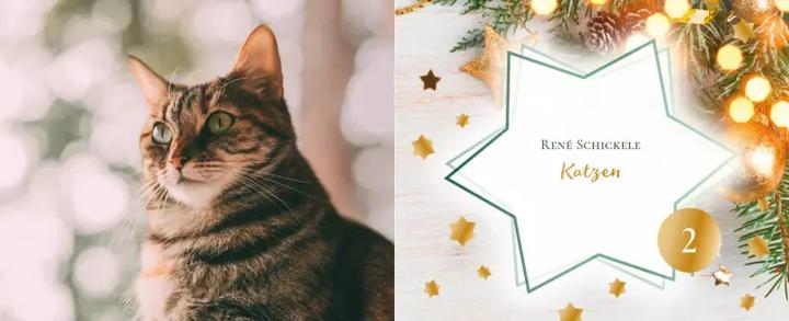 Actual product image Cat Stories