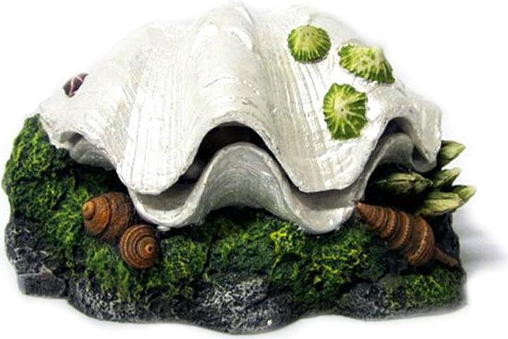 Image du produit Amazonas Coquillage avec sirène (Décoration, autres éléments)