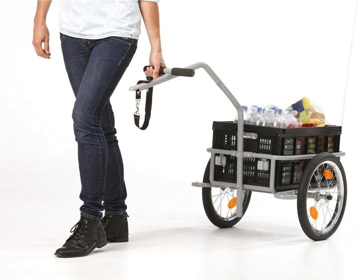 Immagine prodotto Fischer Professionale Plus