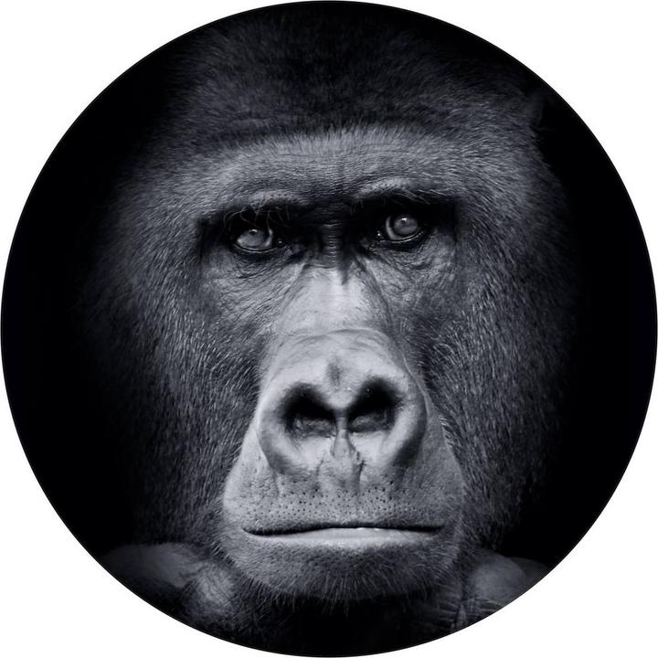 Actual product image Trenddeko Gorilla (Ø 188 cm)