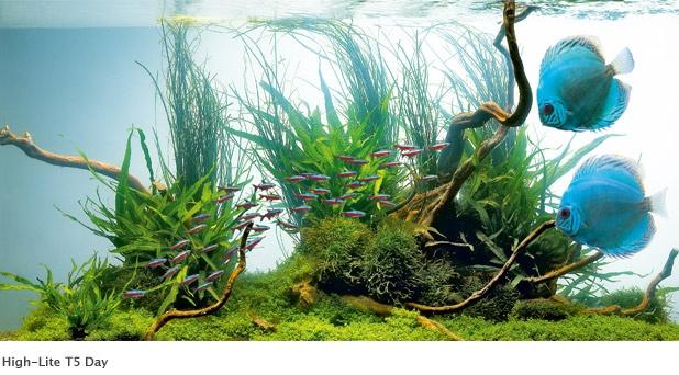 Produktbild Juwel Aquarium Leuchtstoffröhre HL T5 Day 54W 1047mm (Leuchtstofflampe, 54 W)