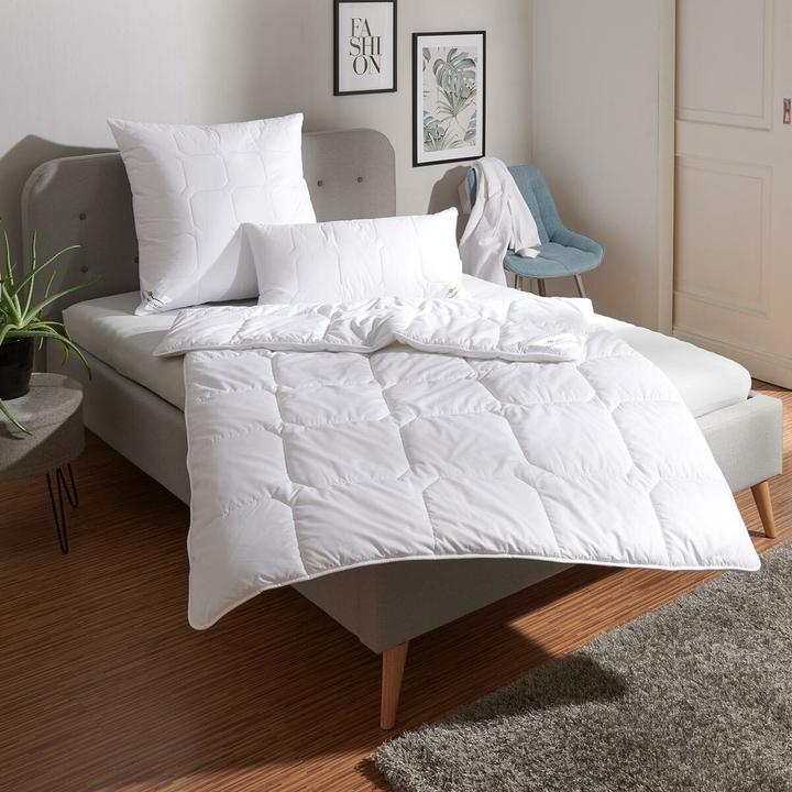 Produktbild Traumschlaf Thinsulate warm (1100 g, 135x200 cm)