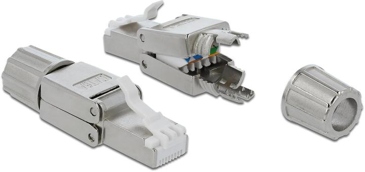 Delock Spina RJ45 Cat.6A (Connettore del cavo di rete)