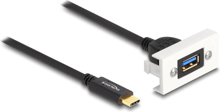Delock Easy 45 Modul SuperSpeed USB 10 Gbps (1 m, USB 3.2 Gen 2)