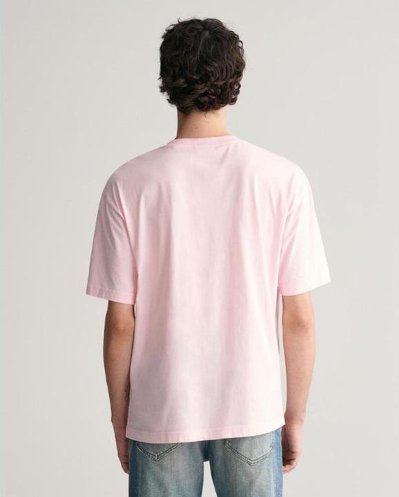 Produktbild GANT t-hirt wahed graphic (S)