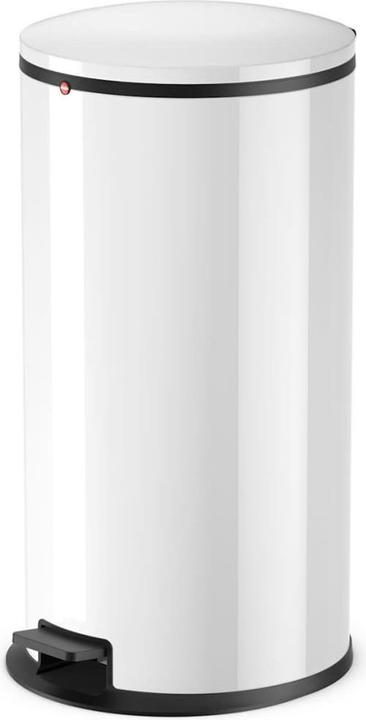 Image du produit Hailo Poubelle à pédale (44 l)