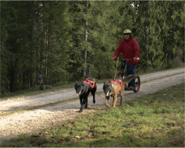 Produktbild Gravity Montain Scooter M10 Trail