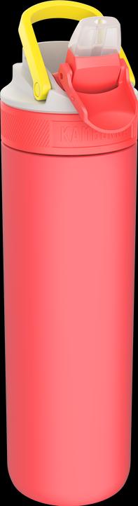 Rot