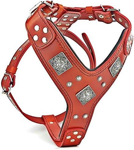 Immagine prodotto Bestia Pettorina per cani (L, XL, Cane)