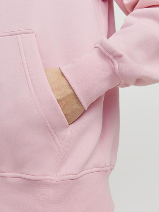Immagine prodotto Jack & Jones Jorvesterbro Sweat Hood Noos (XXL)