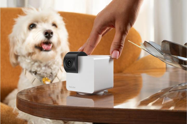 Produktbild Petcube Cam 360
