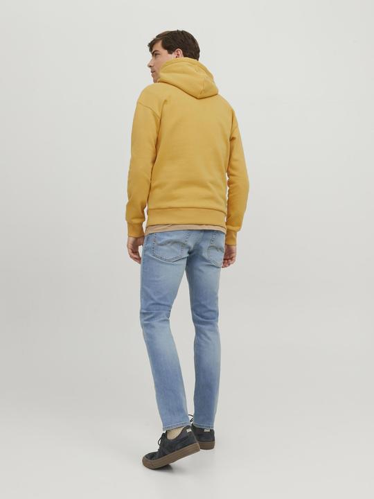 Image du produit Jack & Jones Sweat à capuche (M)