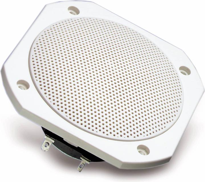 Actual product image Visaton Full range loudspeaker FRS 10 WP