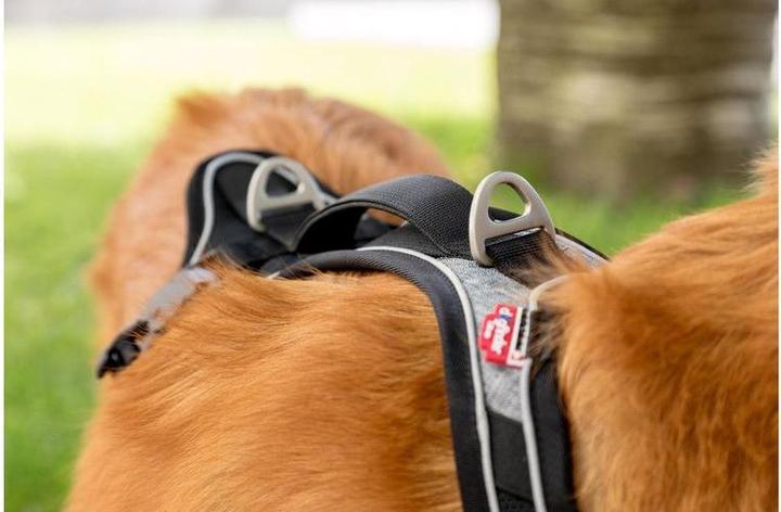 Image du produit Curli Harnais magnétique Belka Comfort (XS, Chien, Général)