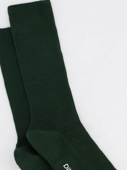 Immagine prodotto DillySocks Ribbed (Confezione singola, 36 - 40)
