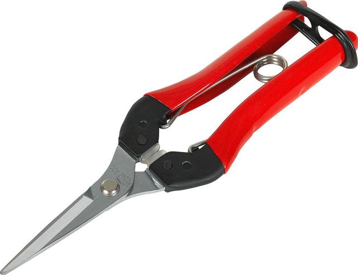 Actual product image Felco Flower shears