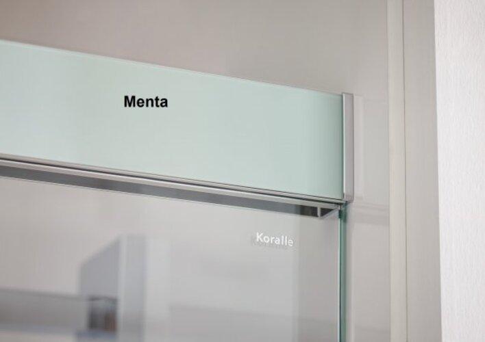 Actual product image Koralle S600Plus Sliding door with partition on entry side DSTD2 160 L, partition left, 1600mm (102.50 cm, 208.80 cm, 37.80 cm)