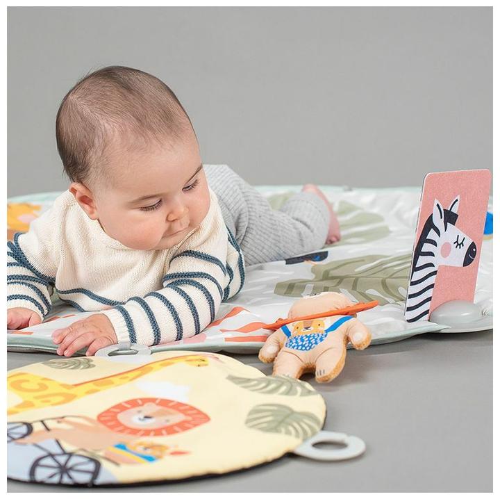 Actual product image Taf Toys Savannah