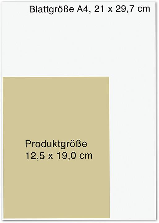 Produktbild Der Schmetterlingsgarten (Deutsch, Marie Matisek, 2020)
