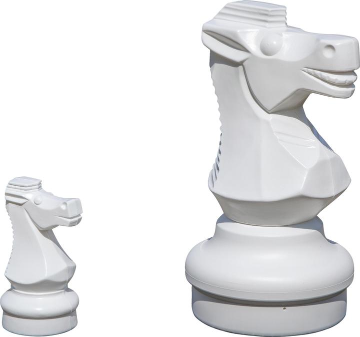Actual product image Rolly Toys Large chessmen