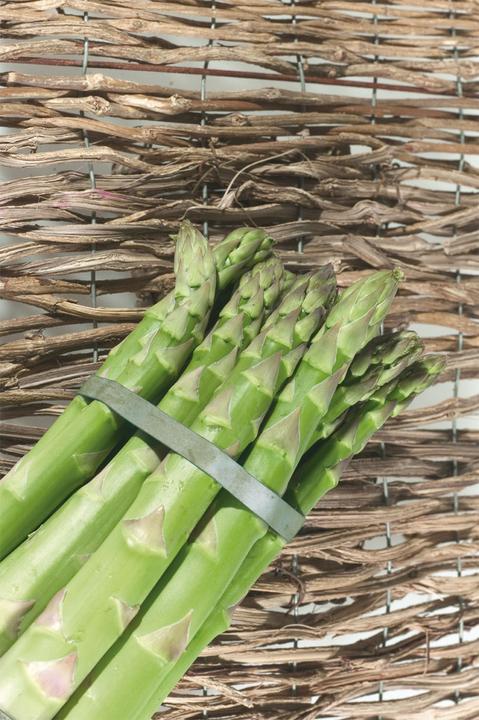 Produktbild Lubera Grünspargel VerteVite®
