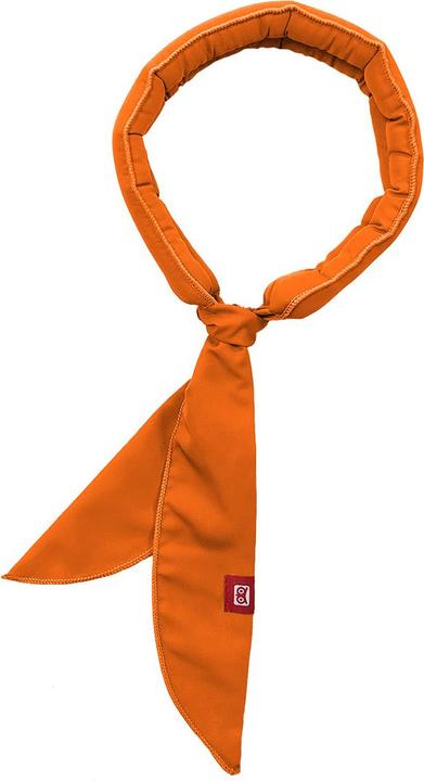 Produktbild N-rit Cool-X Scarf Ice Mate, 5.5 x 107 cm