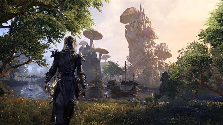 Immagine prodotto Bethesda The Elder Scrolls Online: Morrowind (Xbox One X, Xbox Series X, DE)