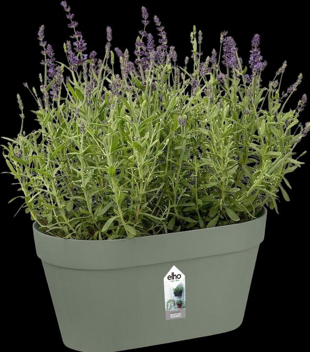 Actual product image Elho Loft Urban Green Wall Pflanztopf Duo (15 cm)