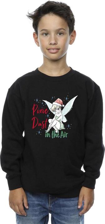 Actual product image Disney Boys Tinker Bell Pixie Dust Sweatshirt (104)