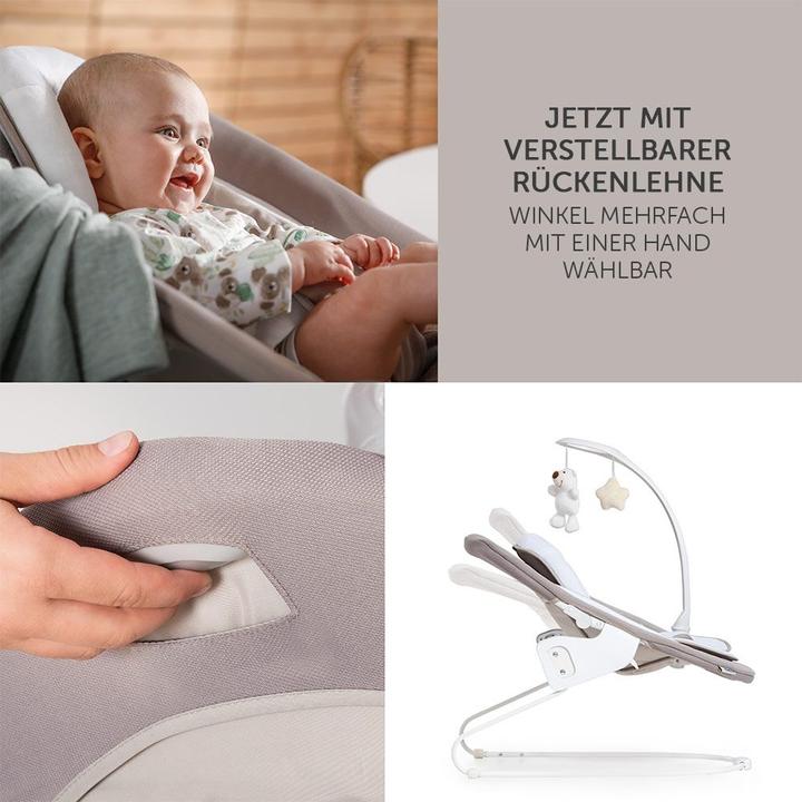 Image du produit Hauck Chaises hautes Alpha Plus Walnut Newborn Set Deluxe - 4 pcs. (Chaise haute Rehausseur)