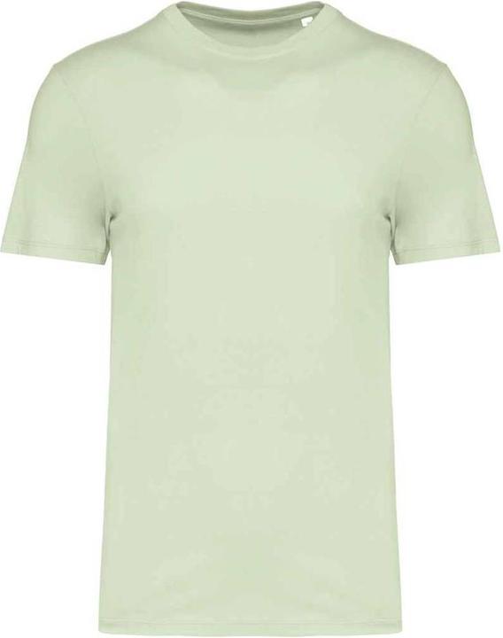 Native Spirit TShirt