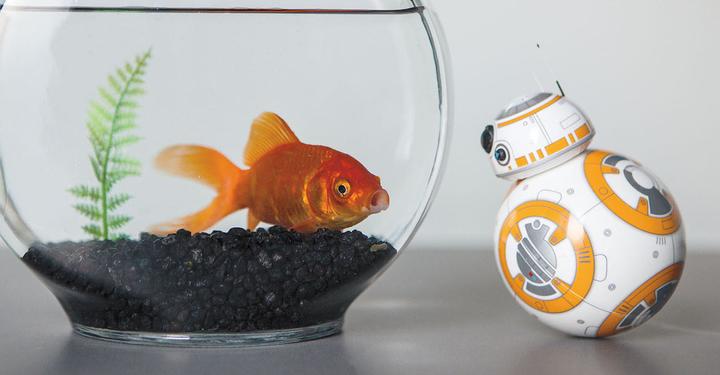 Actual product image Sphero Star Wars BB-8