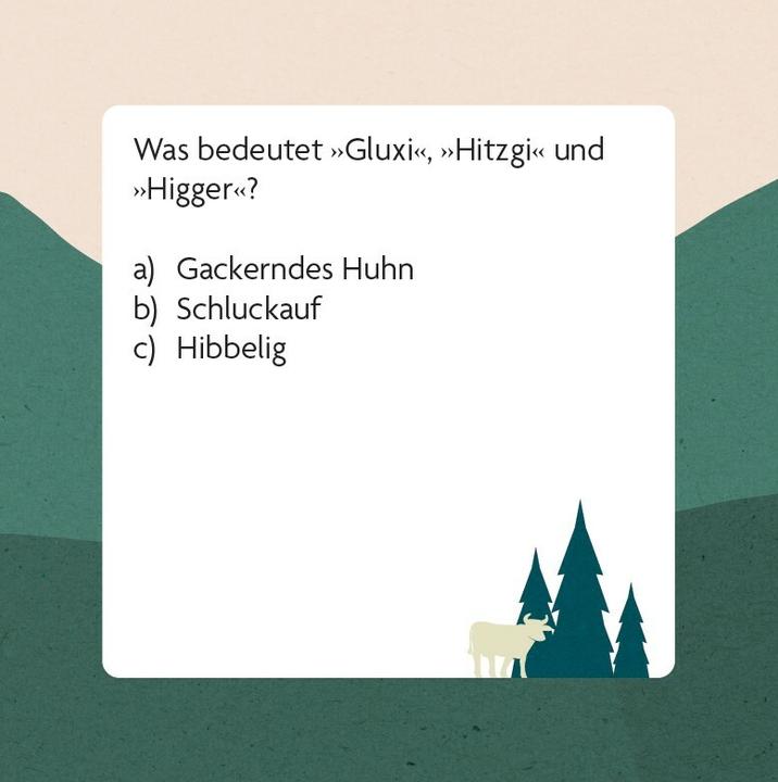 Produktbild Dialekt-Quiz Schweiz (Deutsch)
