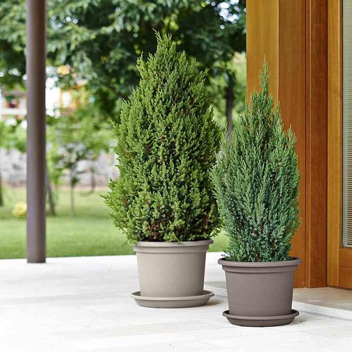 Image du produit Euro3plast Bacs à plantes (55 cm)