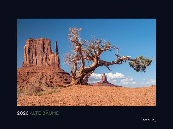 Produktbild Alte Bäume, Sinnbilder des Lebens - Wandkalender 2026 (60 x 45 cm, Deutsch)