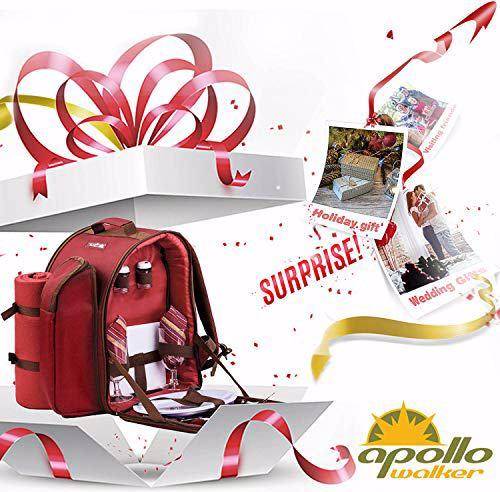 Image du produit Apollo Walker Sac à dos de pique-nique pour 2 personnes