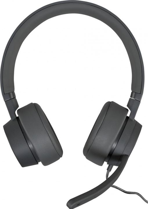 Image du produit Lenovo GXD1C99243 Casque/écouteur filaire Appels/musique USB Type-C Gris (ANC, Filaire)