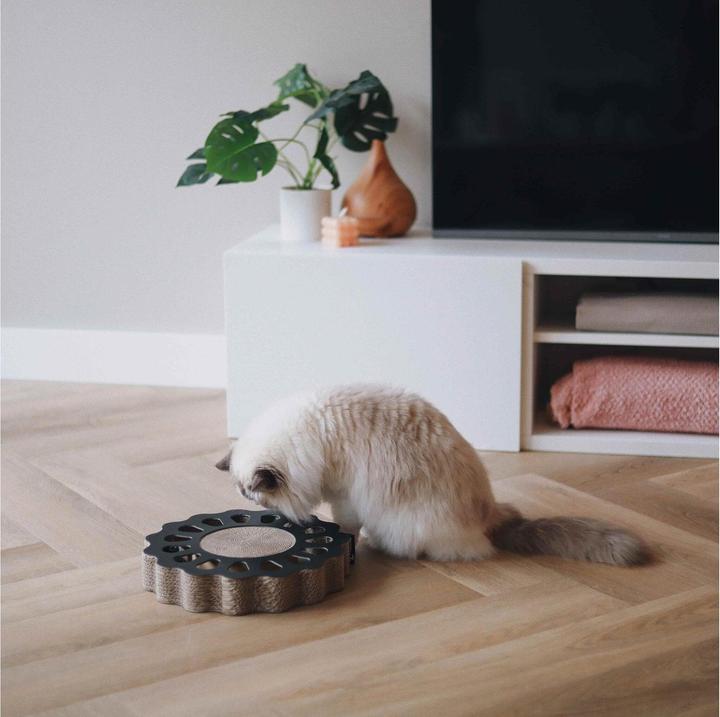 Actual product image District 70 Cat toy Sunny Black play board, 32 x 32 x 6 cm (Cat scratching toy)