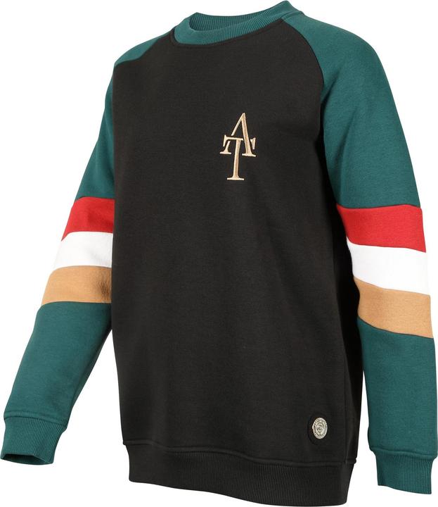 Image du produit Aubrion - Sweat TEAM - Fille (128)