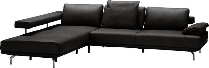 Cat. 56, Torro black