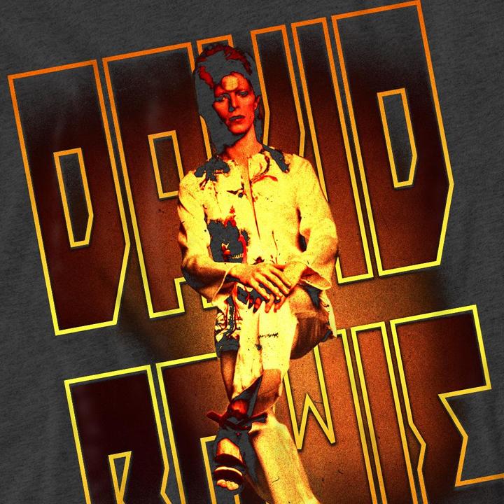 Immagine prodotto David Bowie Perched Maglietta Adulto Unisex (S)