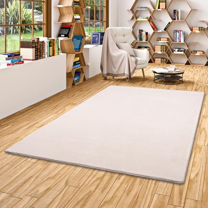 Produktbild Snapstyle Hochflor Luxus Velours Teppich Touch (80 x 400 cm)