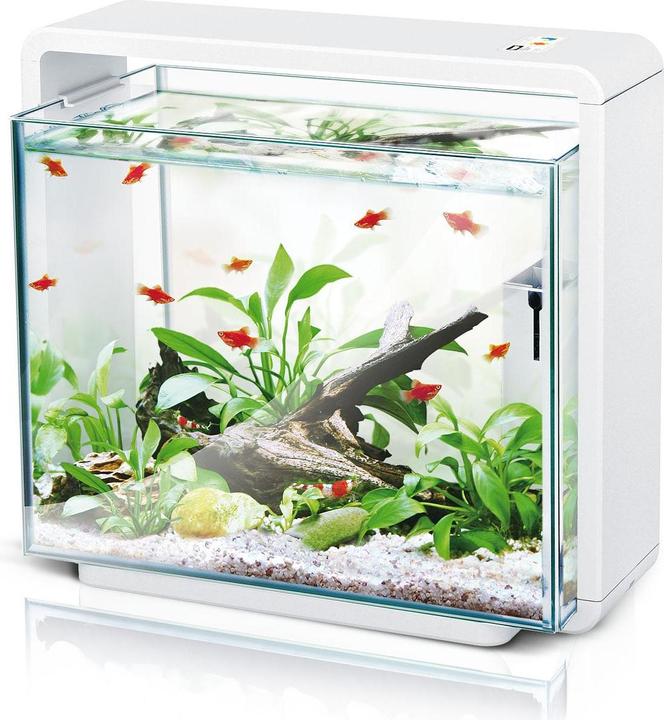 Actual product image Amazonas E-40 (34 l)