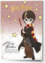 Image du produit Carat HARRY POTTER - Harry - Carte de Voeux avec Pin's