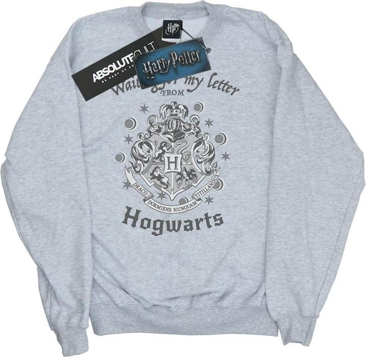 Actual product image Boys Hogwarts Waiting For My Letter Sweatshirt (116)