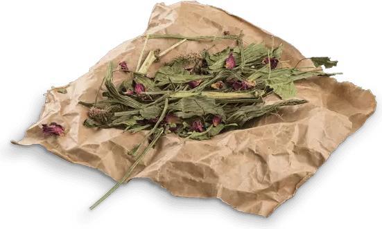 Immagine prodotto Bunny Tutti i prodotti botanici della natura mescolano la piantaggine (0.12 kg, 1 x)