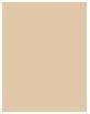 Immagine prodotto MAC Cosmetics Studio Fix 24-Hour Smooth Wear Concealer (Codice prodotto NC15)
